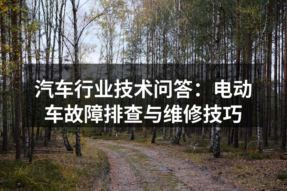电动车故障排查示意图