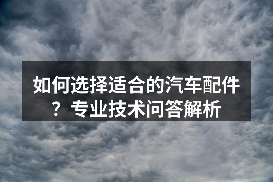 专业汽车配件展示
